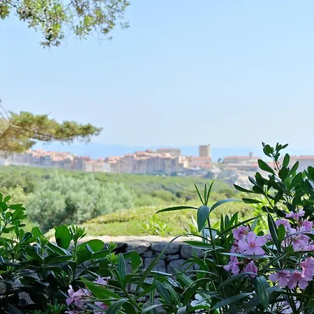 Résidence Terra Marina Resort 4*
