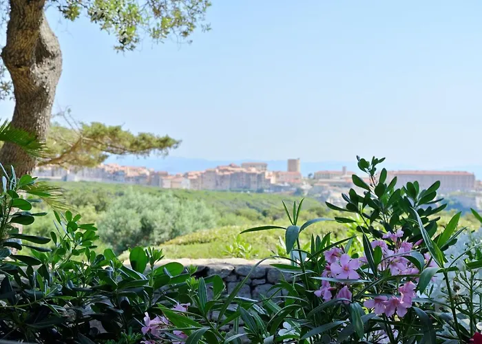 Terra Marina Rezort 4*